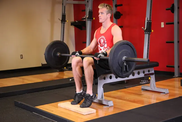 Barbell Seated Calf Raise, finishing position