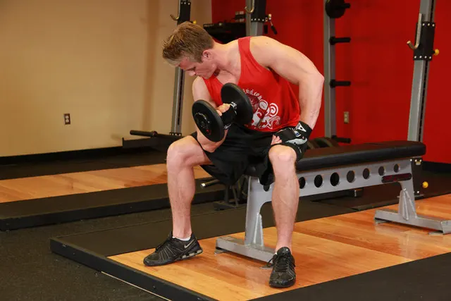 Concentration Curls, finishing position