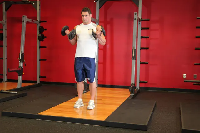 Dumbbell Bicep Curl, finishing position