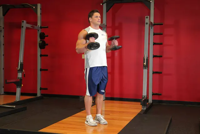 Hammer Curls, finishing position