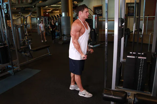 Reverse Grip Triceps Pushdown, finishing position