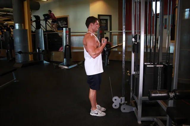 Standing Biceps Cable Curl, finishing position