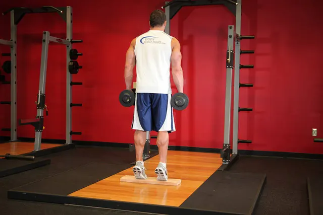 Standing Dumbbell Calf Raise, finishing position