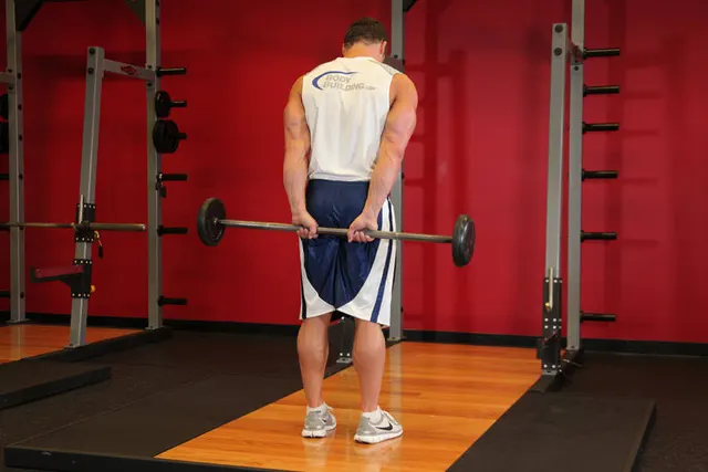 Standing Palms-Up Barbell Behind The Back Wrist Curl, finishing position
