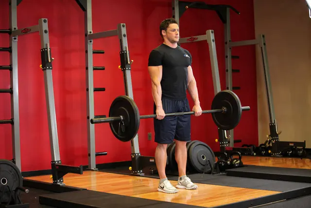 Stiff-Legged Barbell Deadlift, finishing position