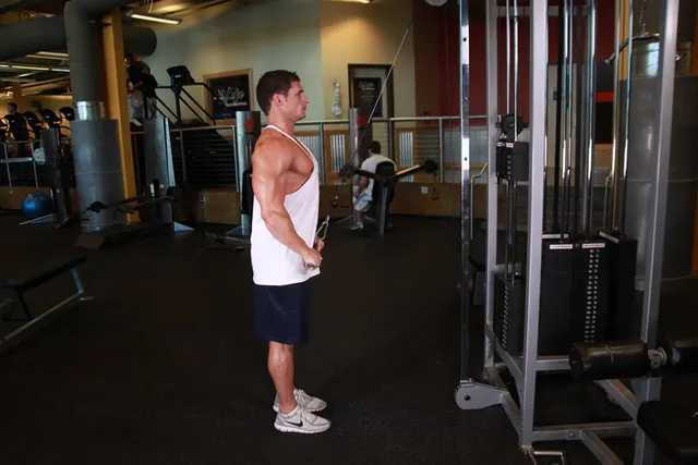 Straight-Arm Pulldown, finishing position