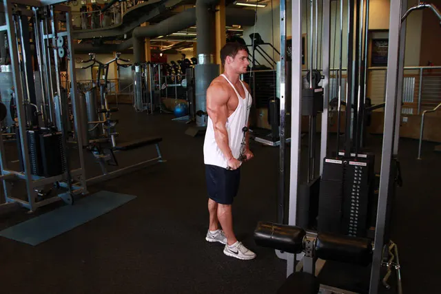 Triceps Pushdown, finishing position