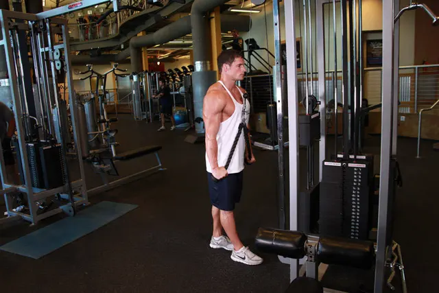 Triceps Pushdown - Rope Attachment, finishing position