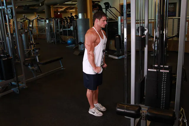 Triceps Pushdown - V-Bar Attachment, finishing position